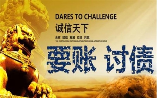 安庆信贷风险化解：老司机亲测有效的司法催收与征信修复全攻略